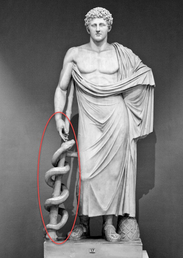 asclepius serpent